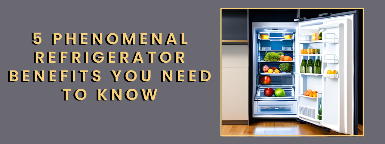5 Phenomenal Refrigerator Benefits You Need To Know